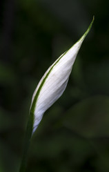 Similar image 22012063