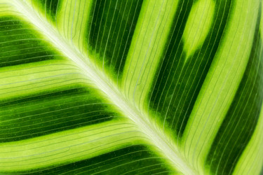 Similar image 22012064