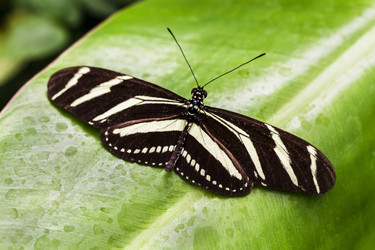 Similar image 22012099