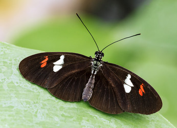 Similar image 22012101