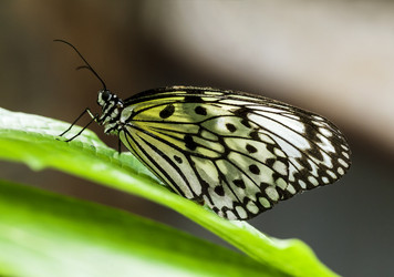 Similar image 22012102