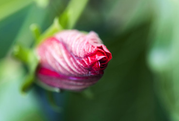 Similar image 22012103