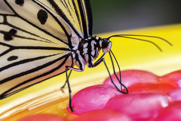 Similar image 22012104