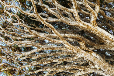 Similar image 22012218