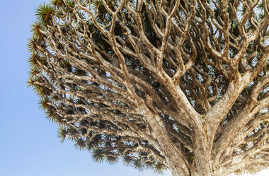 Similar image 22012219