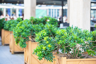 Similar image 22014680