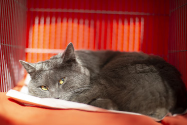 Similar image 22014682