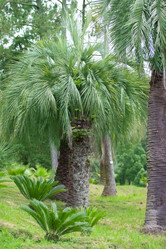 Similar image 22014684