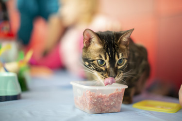 Similar image 22014687