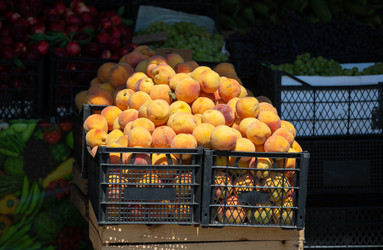 Similar image 22014851