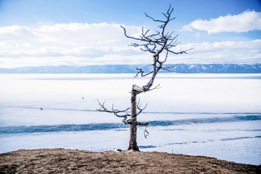 Similar image 22016431