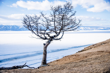 Similar image 22016433