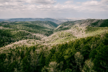 Similar image 22016434