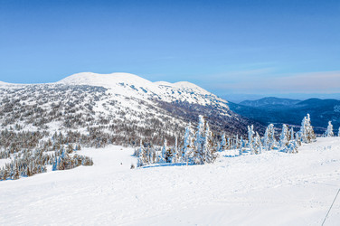 Similar image 22016550