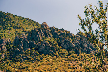 Similar image 22016092