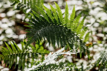 Similar image 22008314