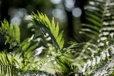 Similar image 22008315