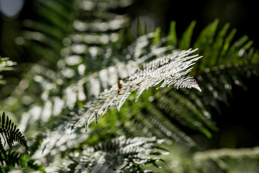 Similar image 22008316