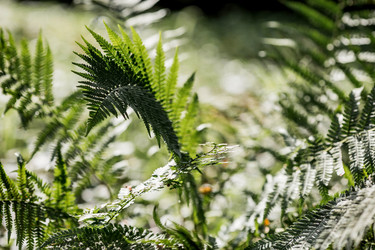 Similar image 22008317