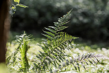 Similar image 22008319