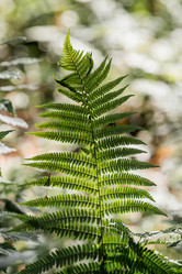 Similar image 22008320