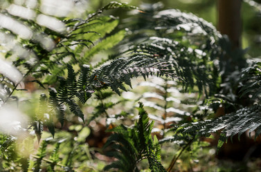 Similar image 22008321