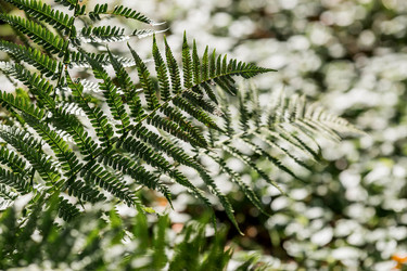 Similar image 22008322