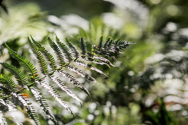 Similar image 22008323