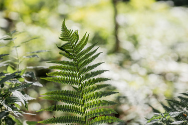 Similar image 22008324