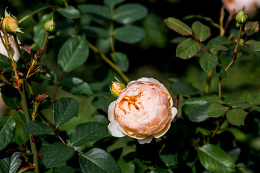 Similar image 22008326