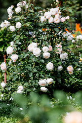 Similar image 22008329