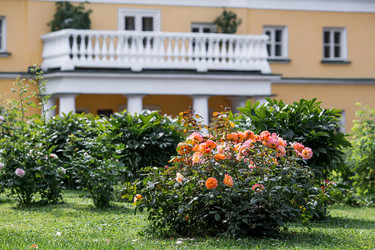 Similar image 22008335