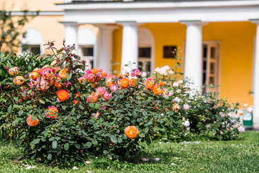 Similar image 22008337