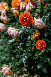 Similar image 22008339