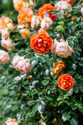 Similar image 22008340