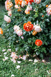 Similar image 22008342