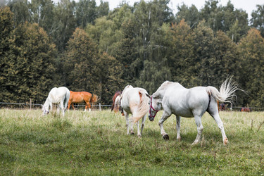 Similar image 22008343