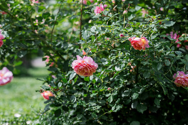 Similar image 22008346