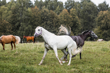 Similar image 22008347