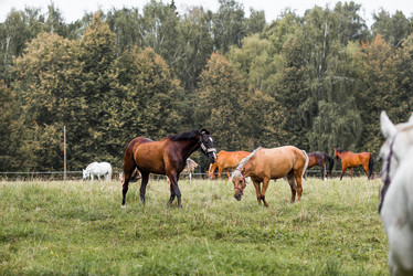 Similar image 22008348