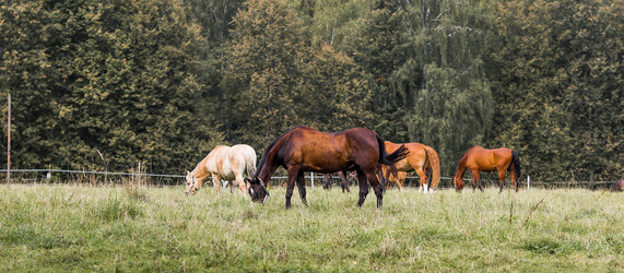 Similar image 22008349