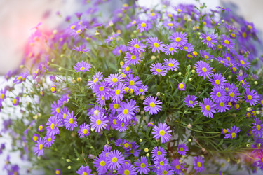 Similar image 22014689