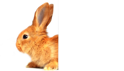 Similar image 22014690