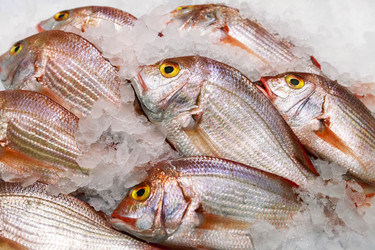 Similar image 22012897