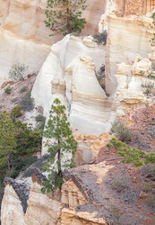 Similar image 22012904