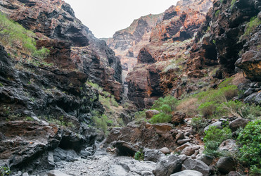 Similar image 22012909