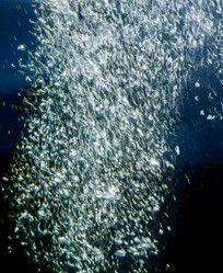 Similar image 22012913