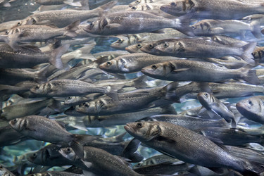 Similar image 22012915