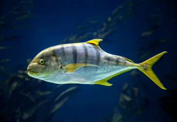 Similar image 22012916