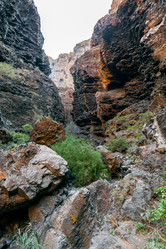 Similar image 22012917